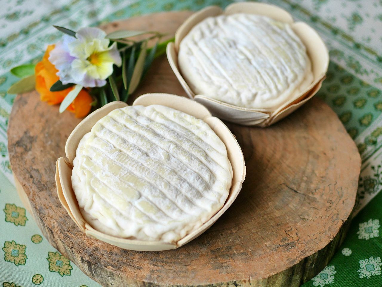 サンフェリシアン　150g