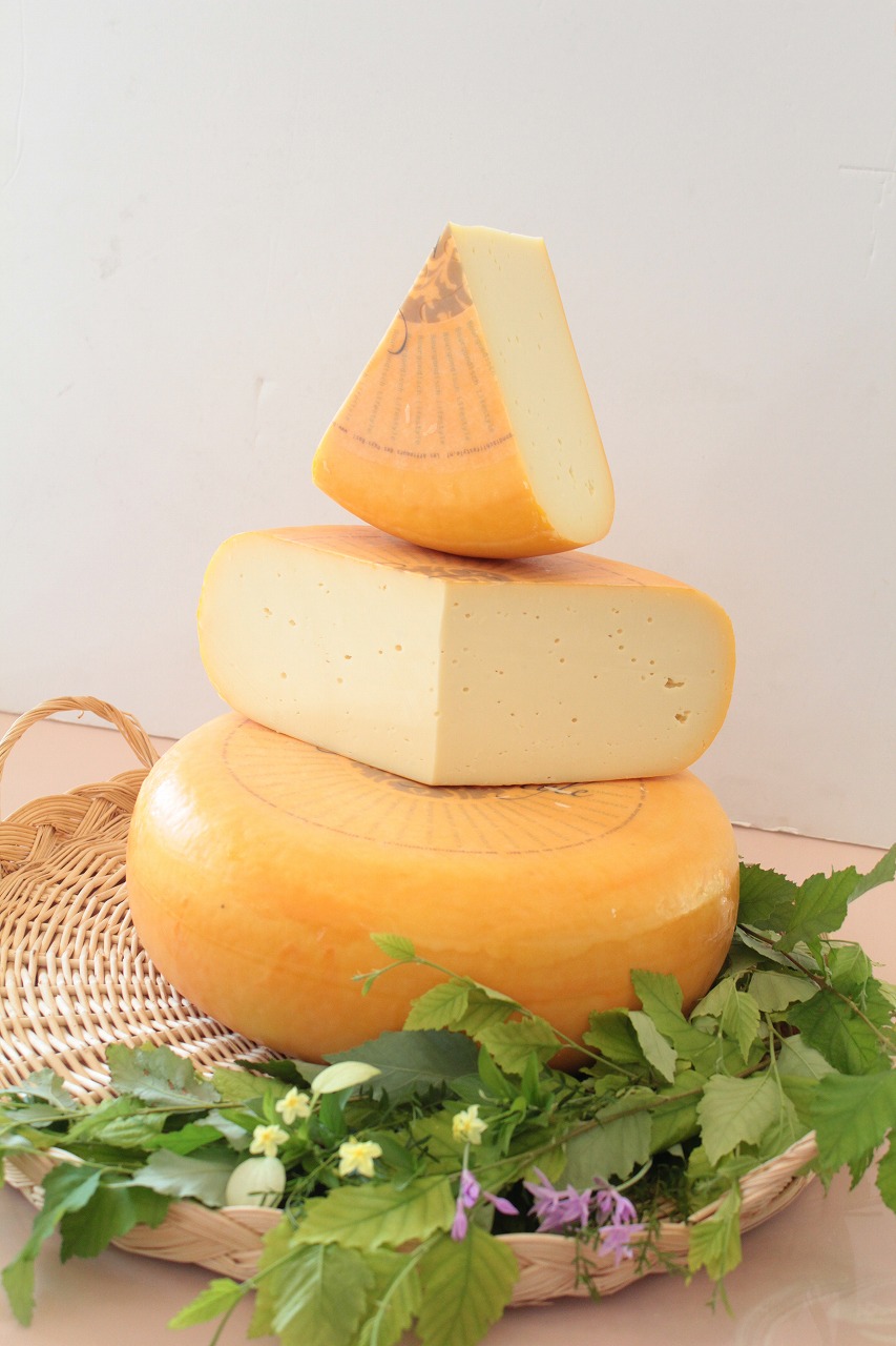 2025年5月仕込みのゴーダ、少し熟成タイプです